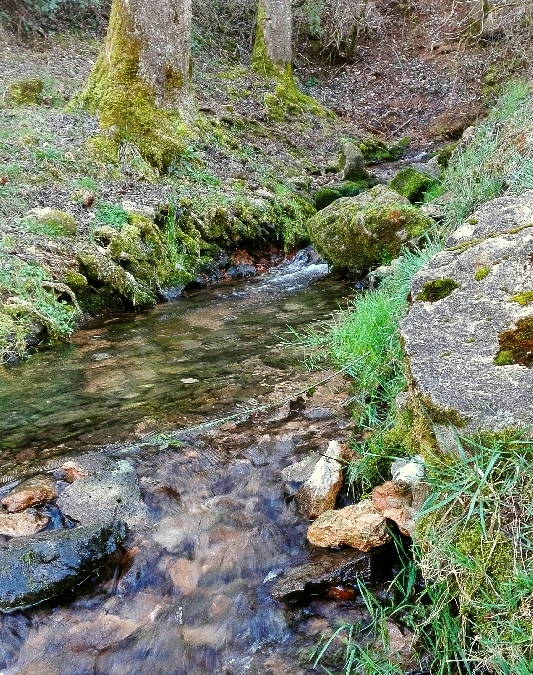 Aire de pique-nique aux Sources de l'Aveyron