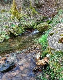 Sources de l'Aveyron, Dennis Kittler
