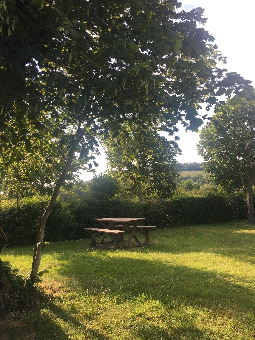 Aire de Pique-nique - Maison des Dolmens à Buzeins