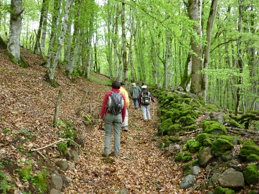 Randonnée : de Mur-de-Barrez à Thérondels (et retour)