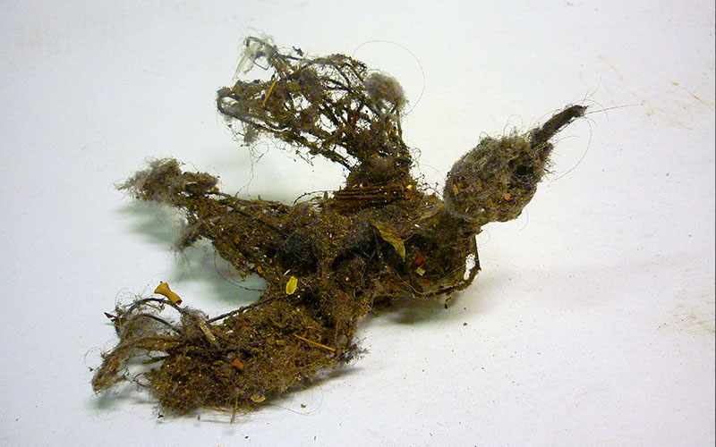 CHRYSALIDES, Lionel Sabatté, exposition à l'Atelier Blanc