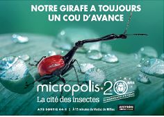- de 4 ans Visites de MICROPOLIS - Novembre 2020 ©OFFICE DE TOURISME DE PARELOUP LEVEZOU - de 4 ans Visites de MICROPOLIS - Novembre 2020 ©OFFICE DE TOURISME DE PARELOUP LEVEZOU