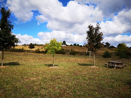 Aire de pique-nique de Saint-André-de-Vézines, OFFICE DE TOURISME DE MILLAU