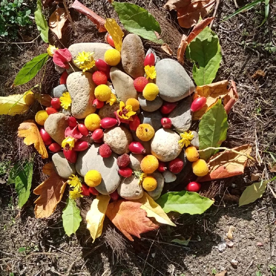 Besoin de Nature - Balade artistico poétique