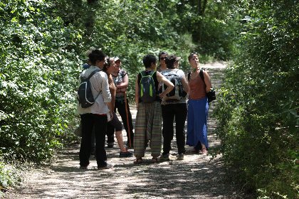 Besoin de Nature  (Groupes), OFFICE DE TOURISME DU GRAND RODEZ
