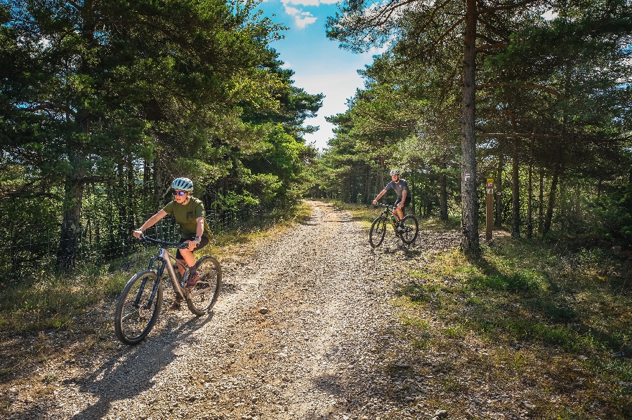 Circuit VTT De La Baraque Froide à La Blaquèrerie