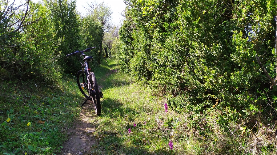 Circuit VTT De La Baraque Froide à La Blaquèrerie