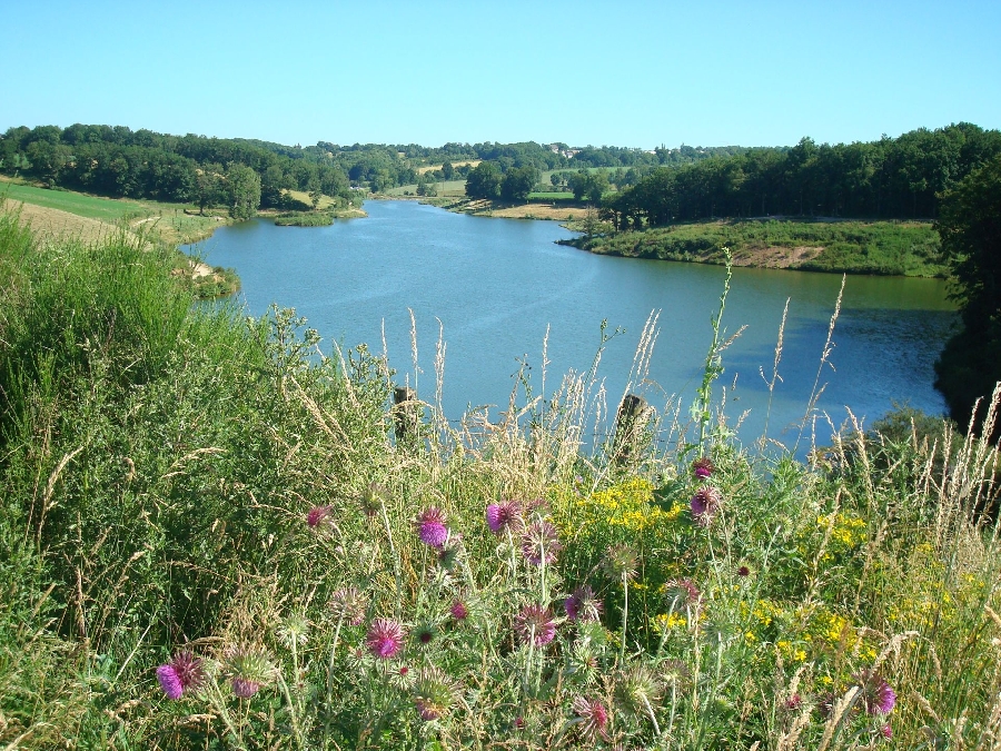 Circuit 9 : Planèzes