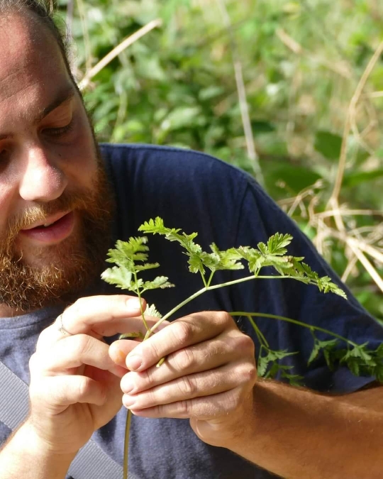 Les jardins de l'instant végétal : cueillette de fleurs sauvages  France Auvergne-Rhône-Alpes Drôme Sainte-Croix 26150