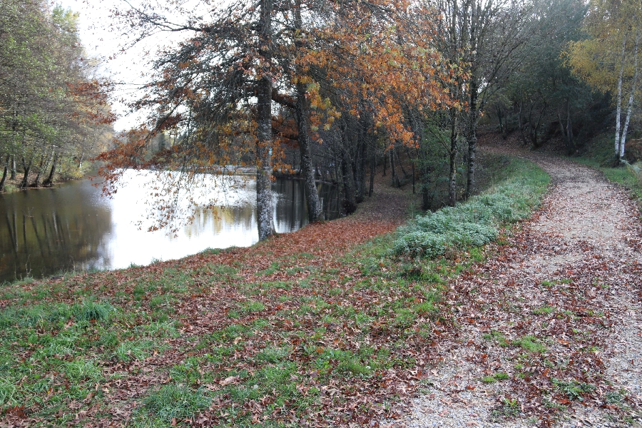 Fishing - Pond of Carcenac-Peyralès