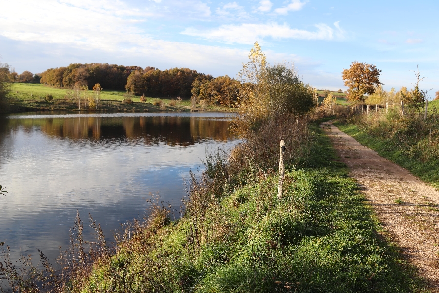 Lac de la Brienne ou de Planèzes (lâchers de truites)