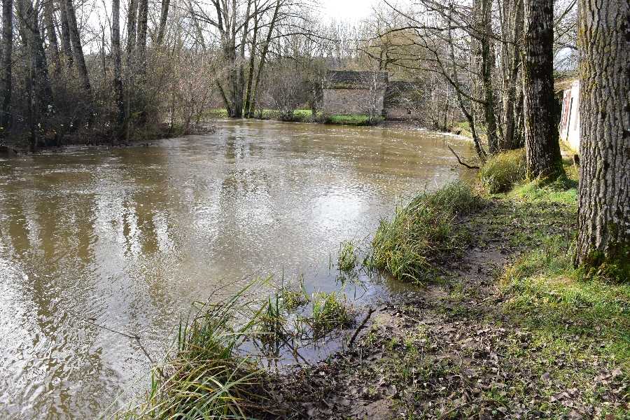 L'Aveyron à Laissac (lâchers de truites)