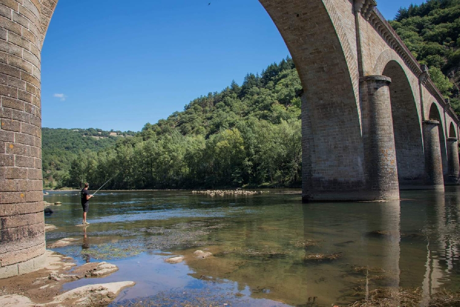 Le Tarn au pont des Hirondelles ou pont de Girbes (lâchers de truites)