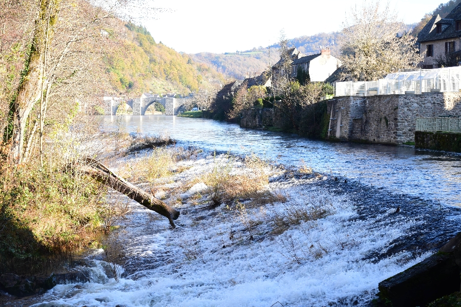 Le Lot à Entraygues-sur-Truyère (lâchers de truites)