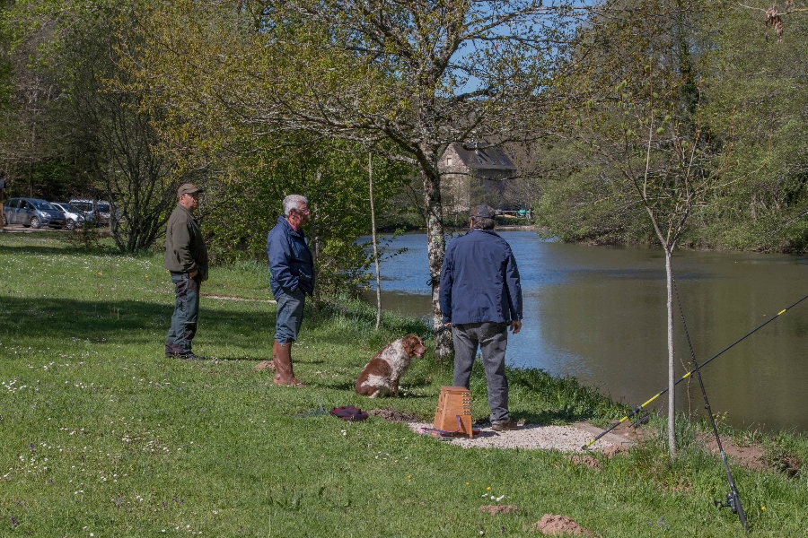 L'Aveyron à Prévinquières (lâchers de truites)