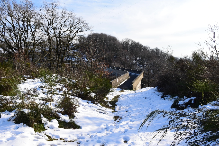 Barrage de Saint Amans (lâchers de truites)