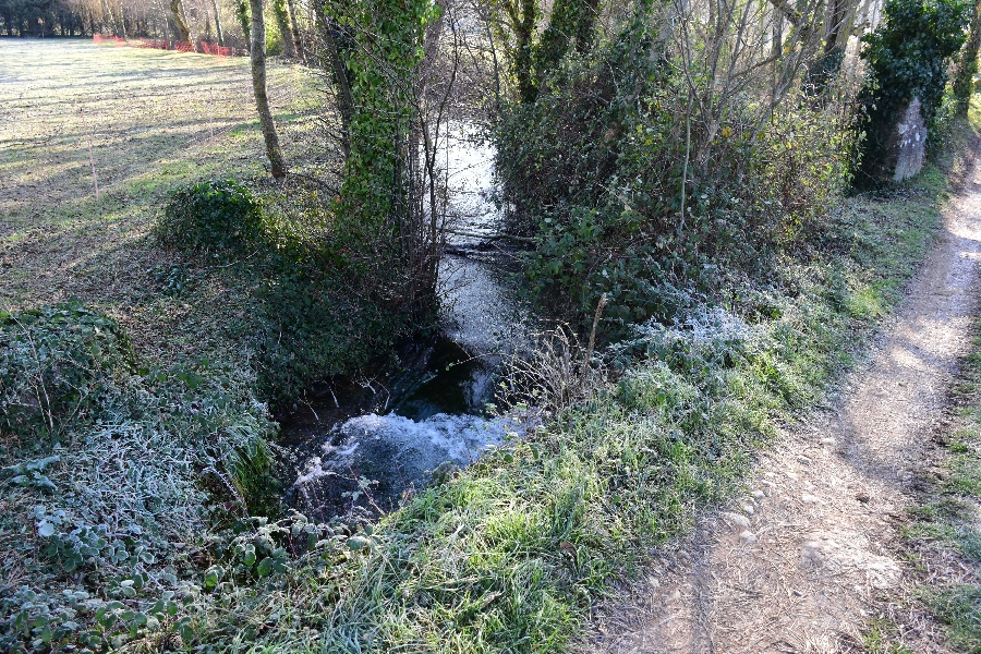 Le Lévejac à Saint-Rome-de-Tarn (lâchers de truites)