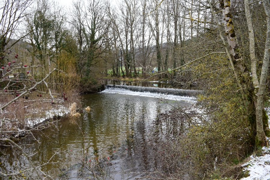 Le Rance à Belmont-sur-Rance (lâchers de truites)