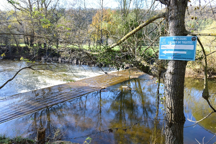 L'Aveyron la plaine du Pesquié (lâchers de truites)