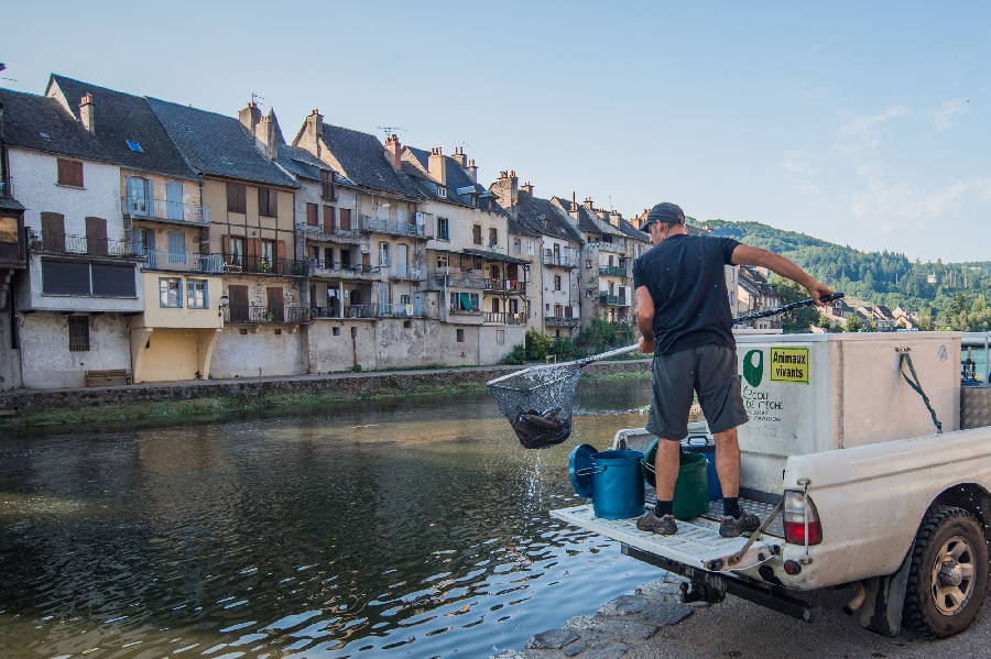 Lâchers de truites - Rivière Aveyron au moulin de Bourran