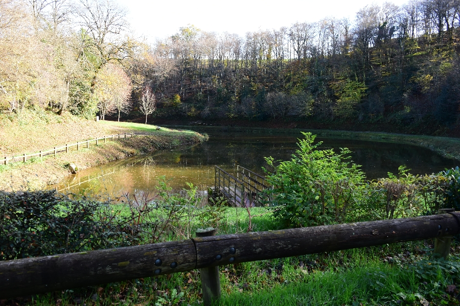 Etang des fargues (lâchers de truites- payant)