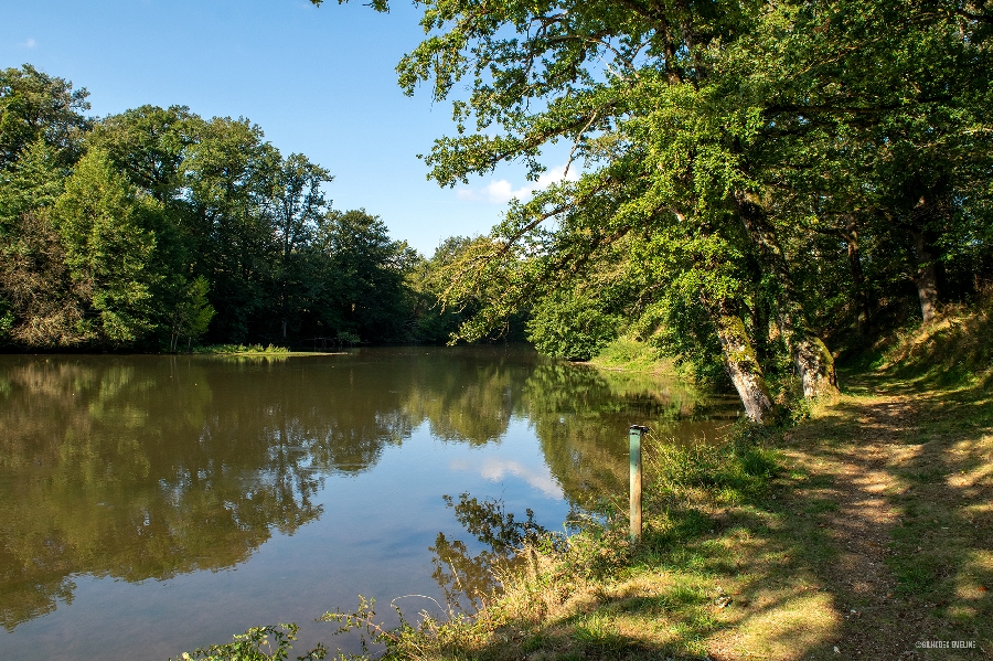 Pêche - Plan d'eau du Glandou