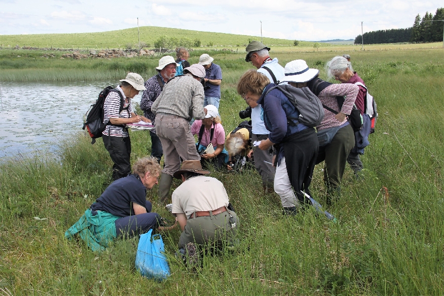 Sciences Nath' en Aubrac