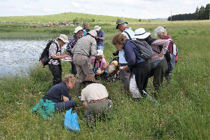 Sortie avec une association de botanistes au lac des Salhiens, Sciences Nath' en Aubrac