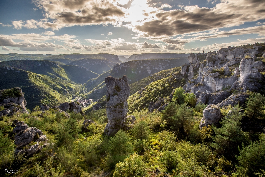 Les Gorges de la Dourbie