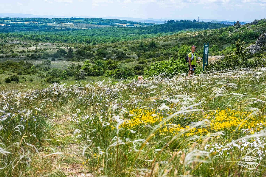 La Dévèze de Lapanouse de Cernon et du Viala du Pas de Jaux