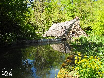 Visite des Martinets du Lézert