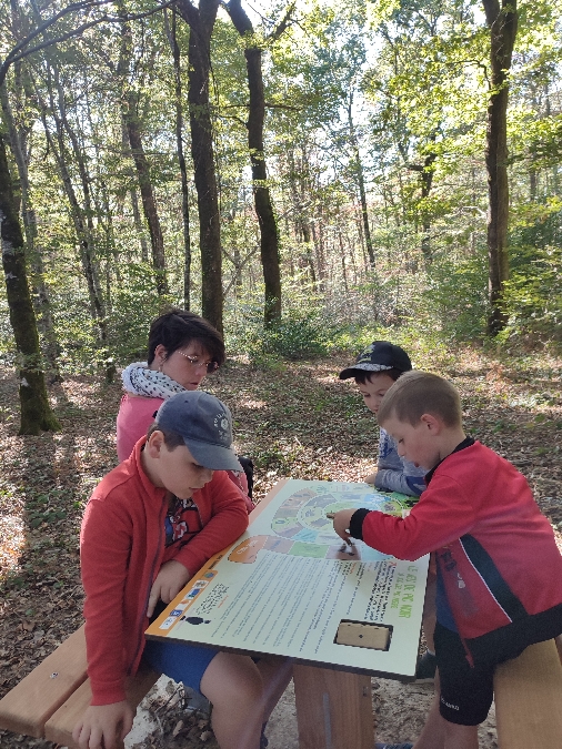 Sentier d'interprétation du bois du Bruel à Vabre-Tizac