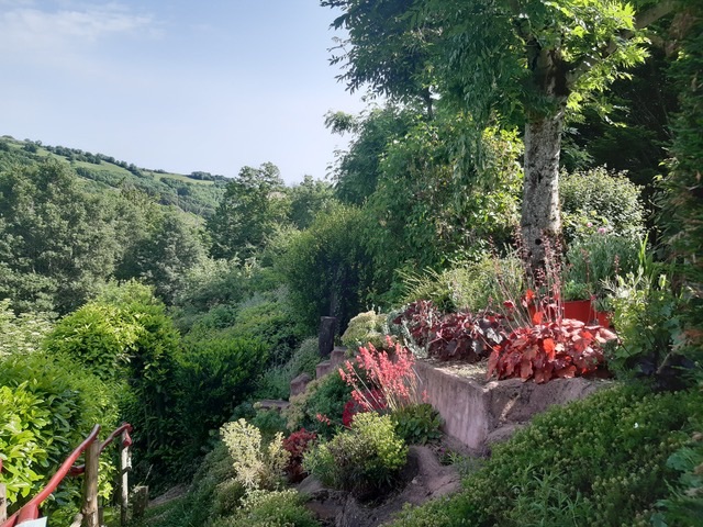 Rendez-vous au Jardin des enclos