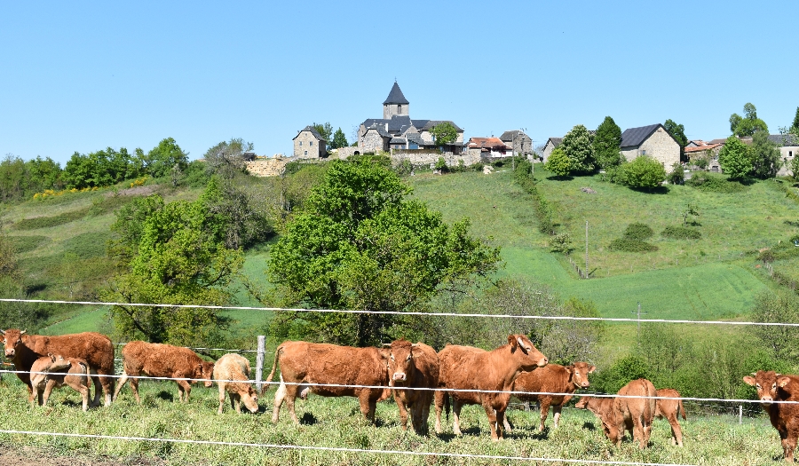 Camping Lezard Vacances