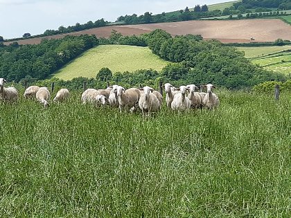 Visite de ferme à Sérieux, OFFICE DE TOURISME DU REQUISTANAIS