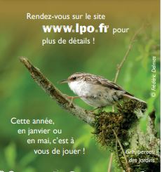 Comptage national printanier des oiseaux des jardins