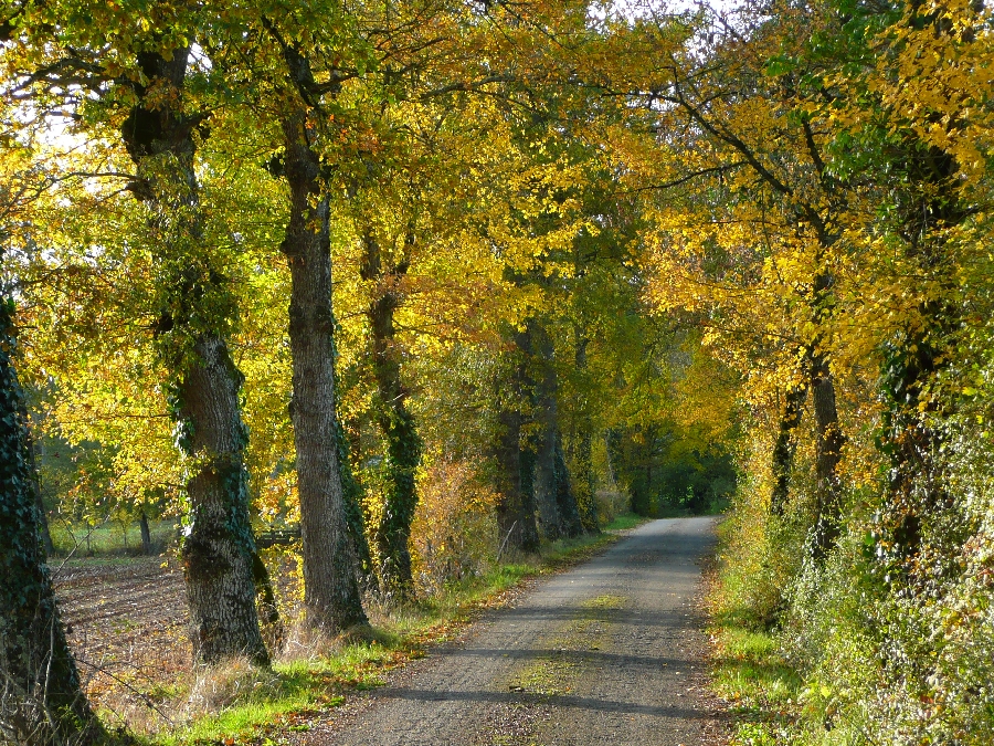 Circuit route du Pays Rignacois