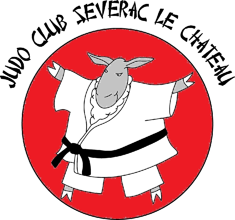 Gala de judo 