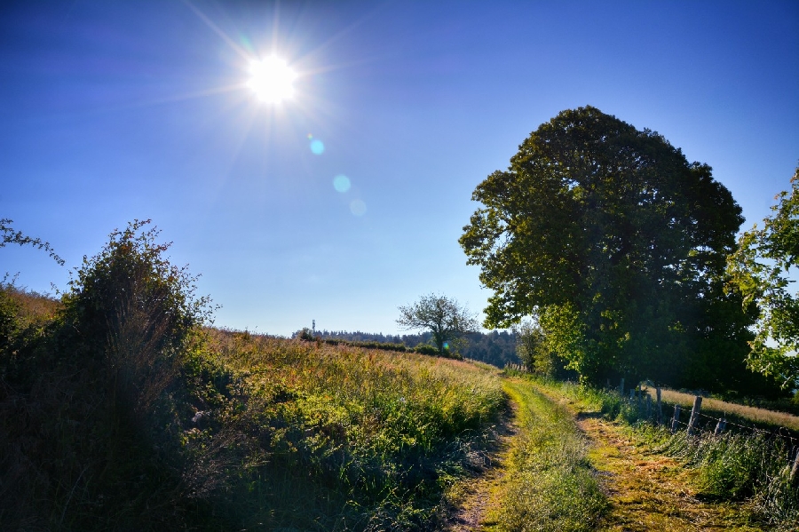 Le chemin des dames