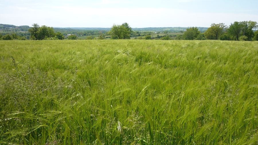 Les Landes