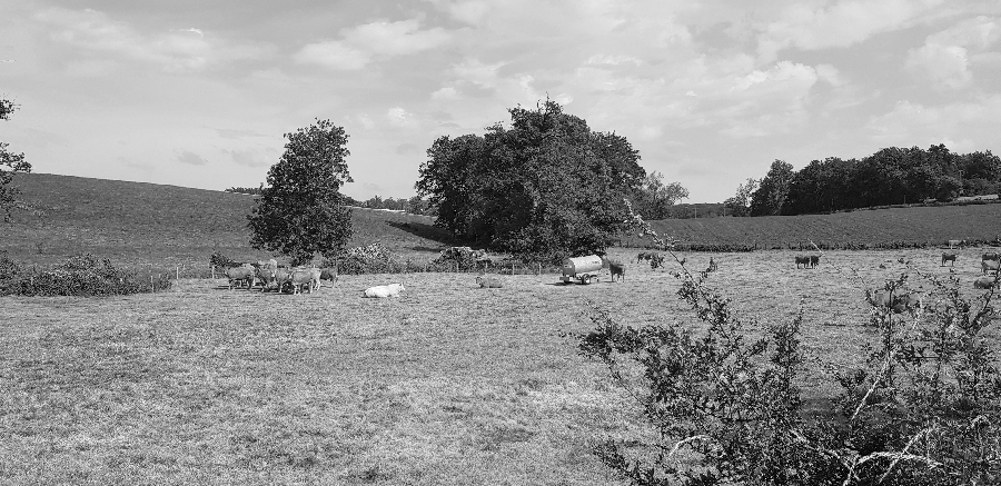 balade du moulin du Liort