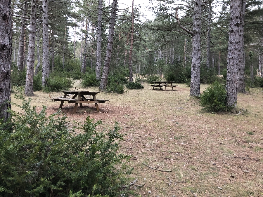 Aire de pique-nique du Causse Noir