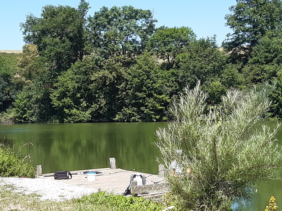 Etang de Bonnefon