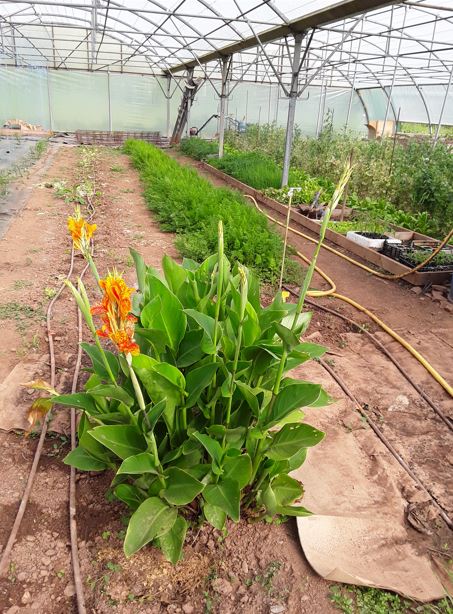 Au potager du Dourdou