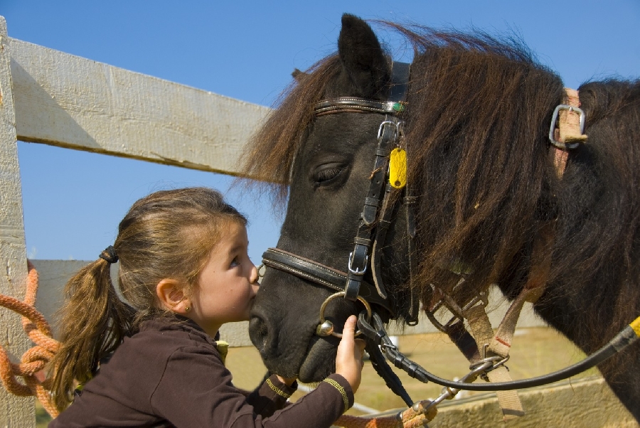Fête du poney - La Frégière