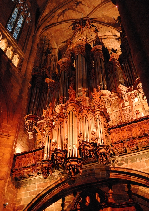 Concerts Orgue à la Cathédrale