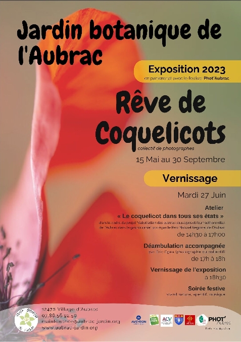 Atelier et vernissage autour de l'exposition Rêve de coquelicots