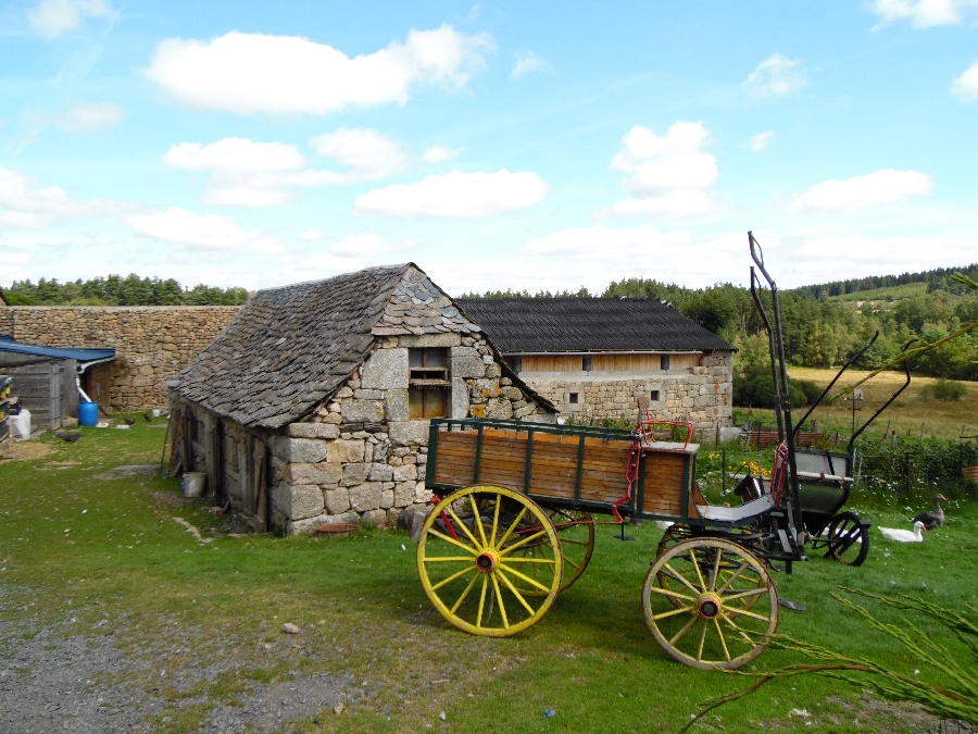 Atelier travail du cuir à la ferme