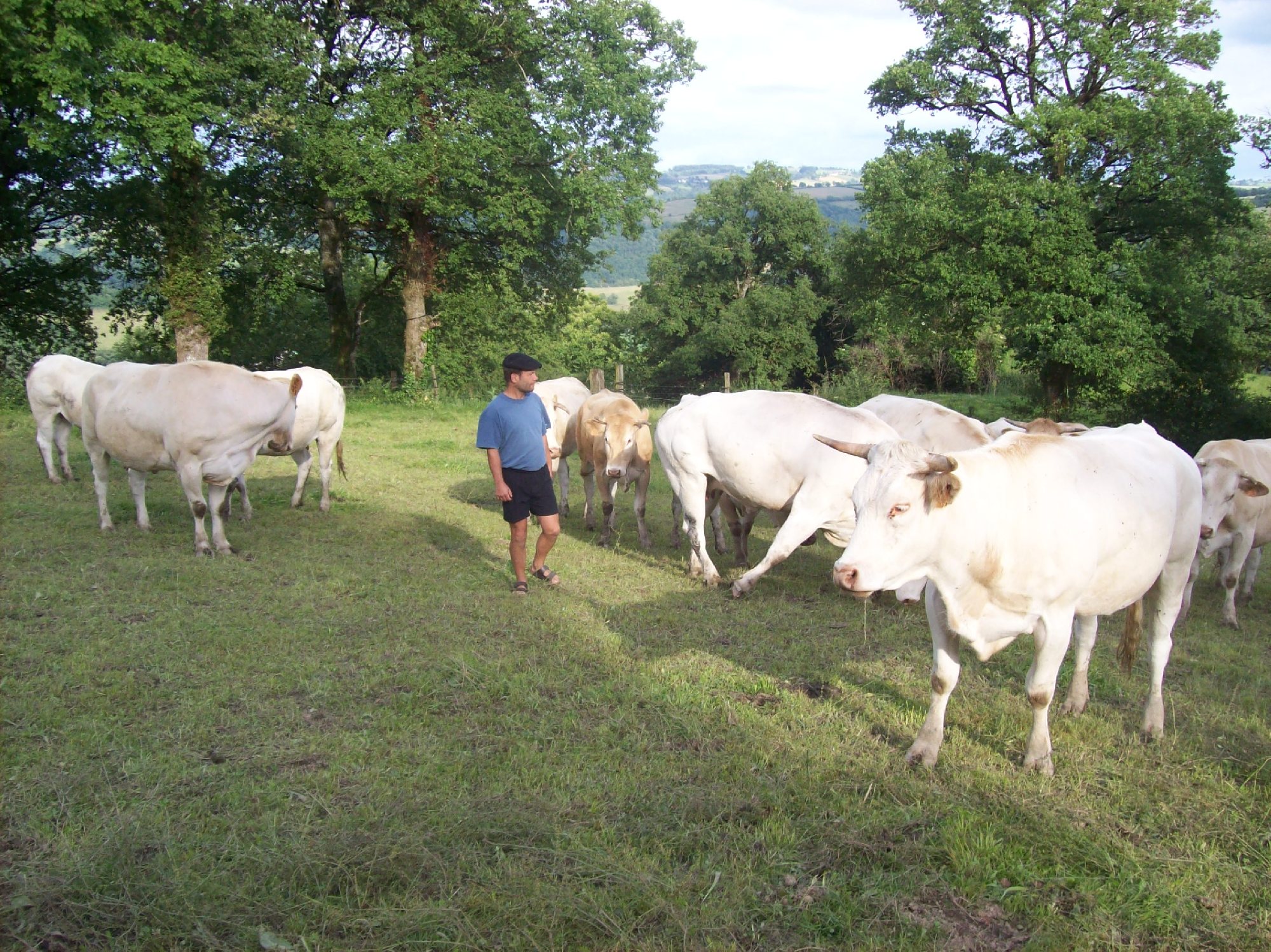 La ferme de Tessi, OFFICE DE TOURISME DU PAYS RIGNACOIS