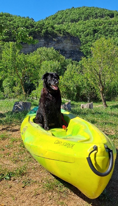 Canoé, paddle avec son chien et Canoé Escapade - Emmène ton chien